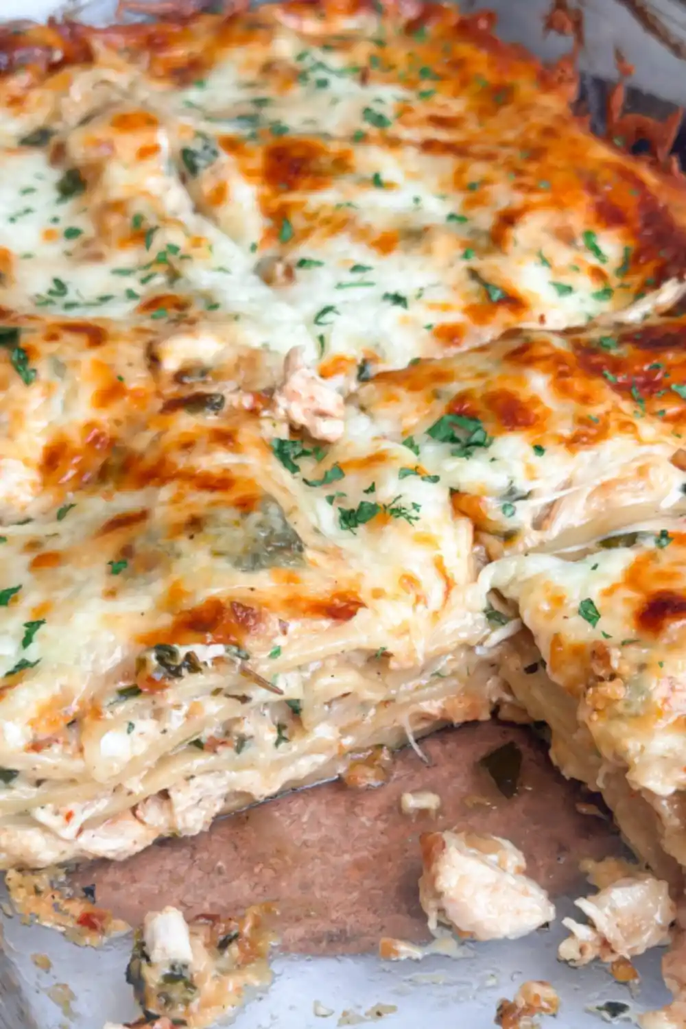Chicken Alfredo Lasagna with creamy spinach Alfredo sauce and mozzarella cheese.