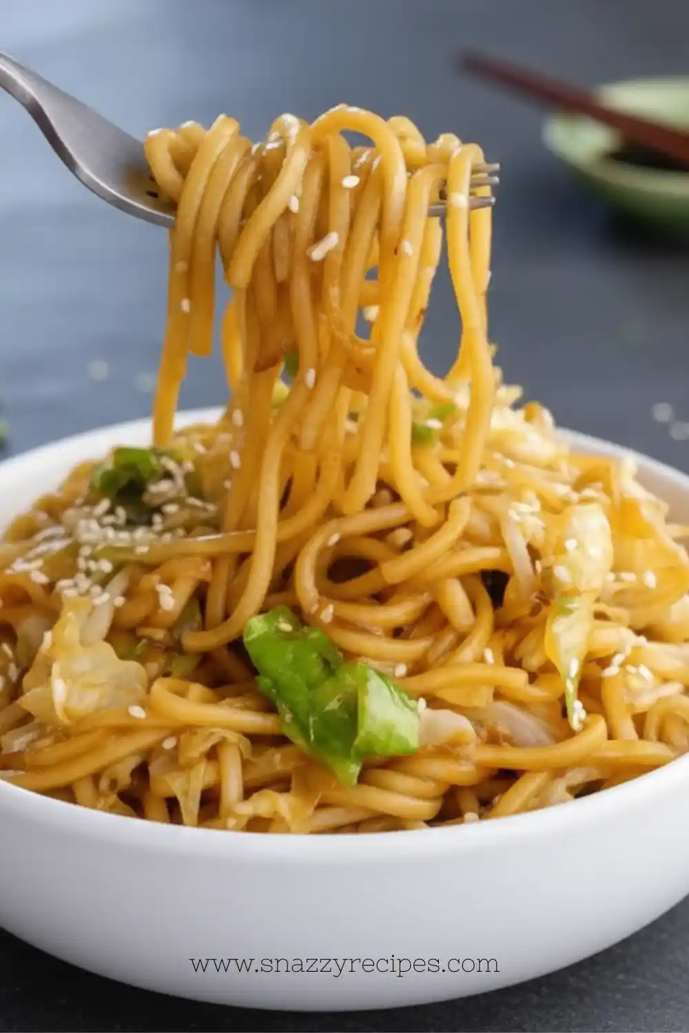 Classic Chinese Chow Mein dish with vegetables and noodles